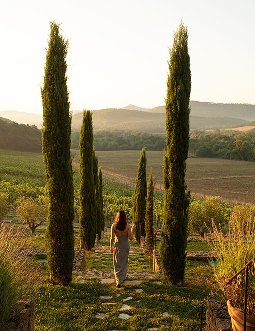 borgo-vineyard-feature