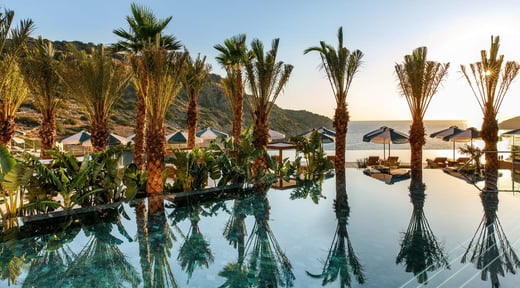daios-cove_1 (1)