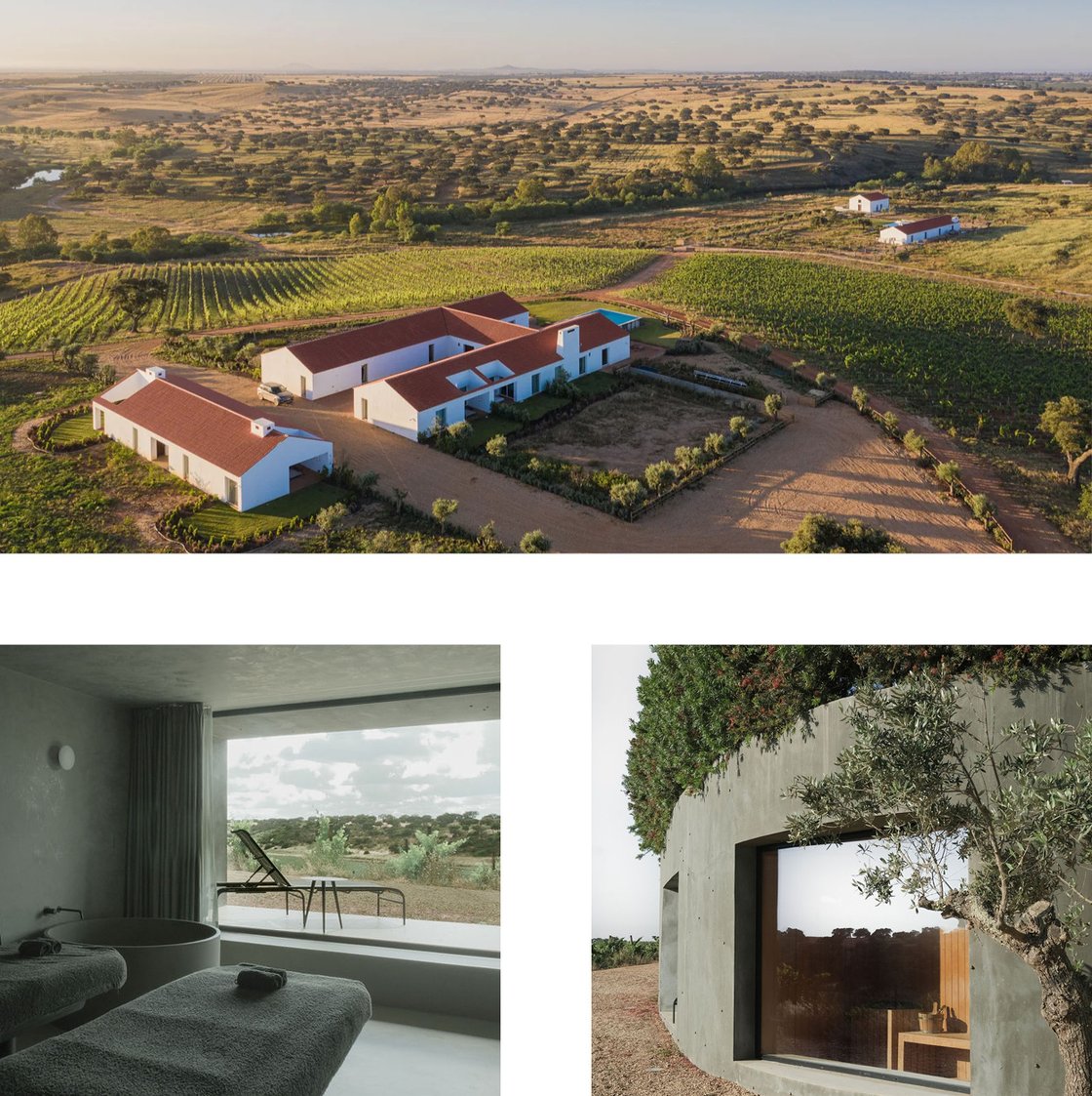 herdade-revised-wellness-header