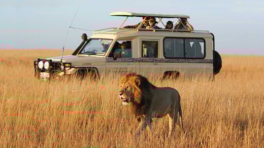 micato-safari-vehicle