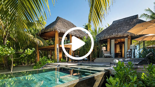 the-brando-video-link